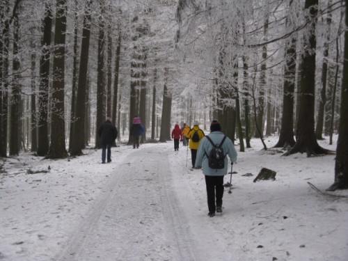 Winter-Wander-Wochenende Kohlhof 021