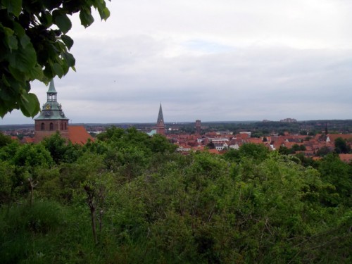 Blick vom Kalkberg aus