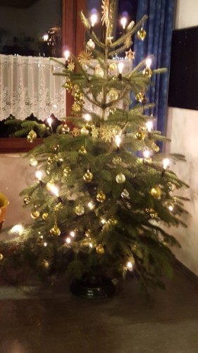 unser Weihnachtsbaum